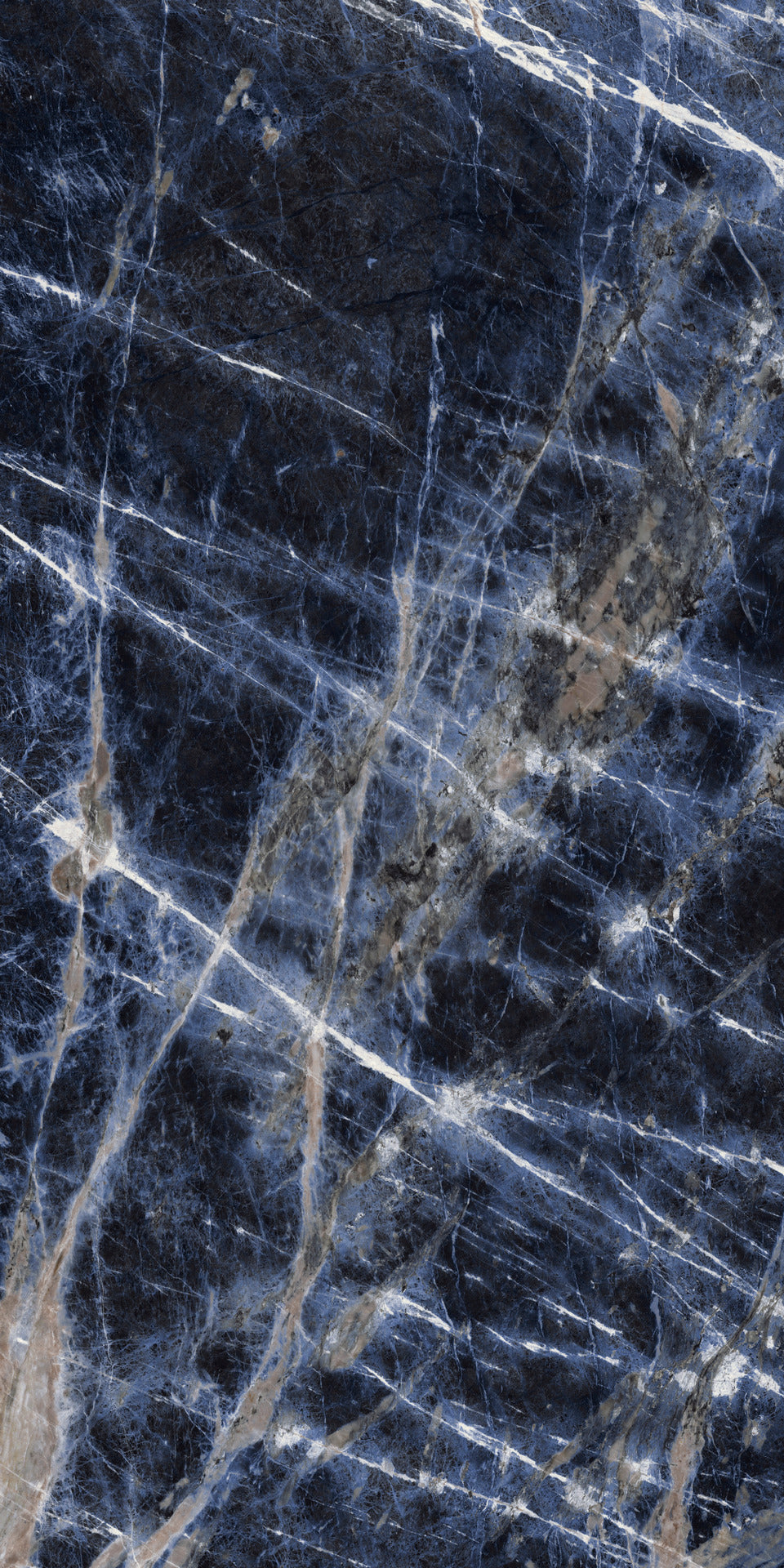 1047035_8 1047035_8